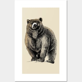 The Great Bear - A fierce protector Posters and Art